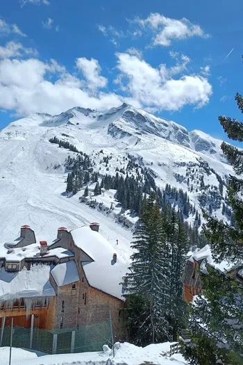 Downstairs balconey's view